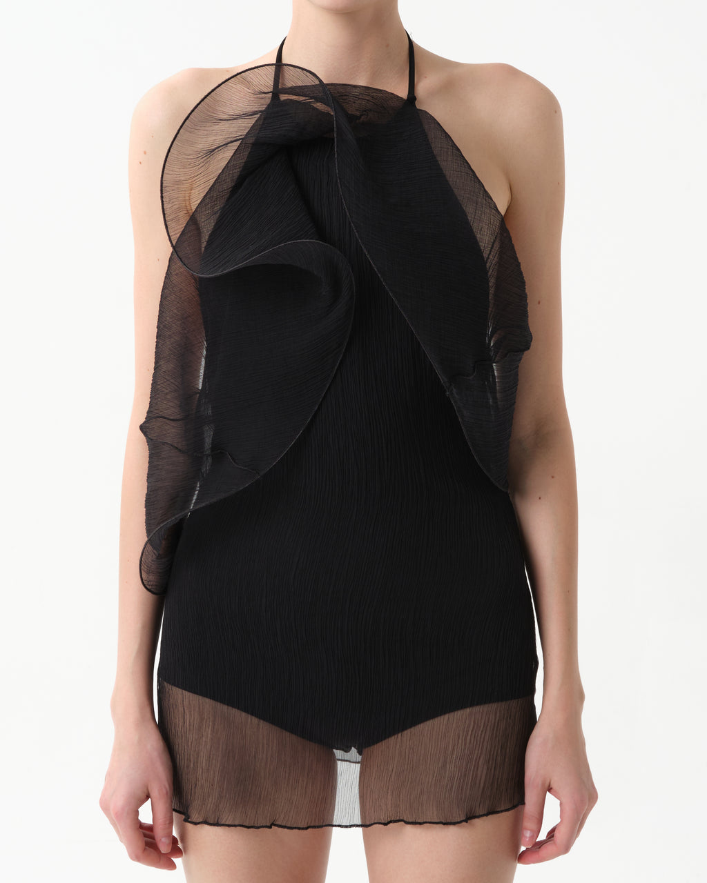 Sheer Silk Organza Mini Dress