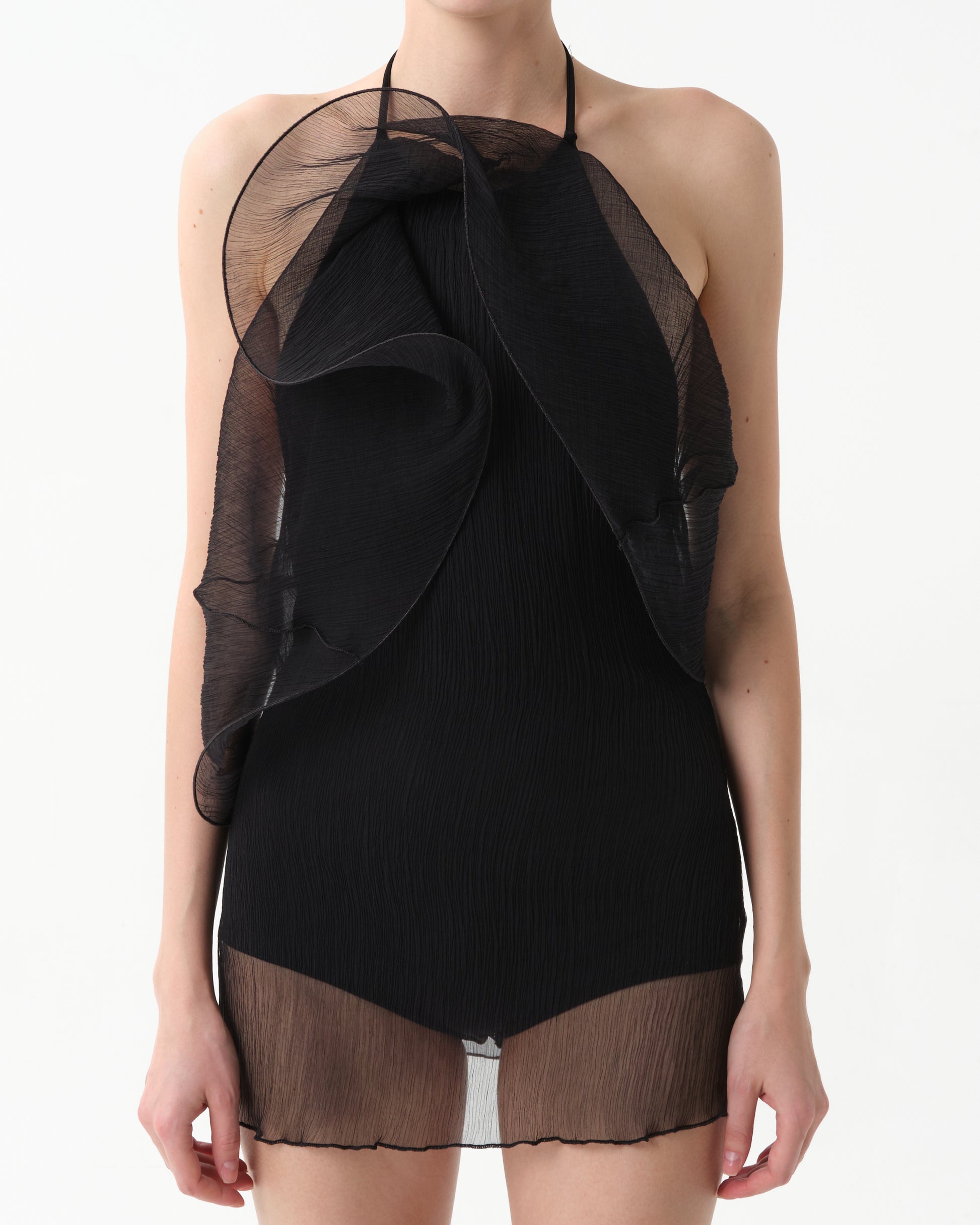 Sheer Silk Organza Mini Dress