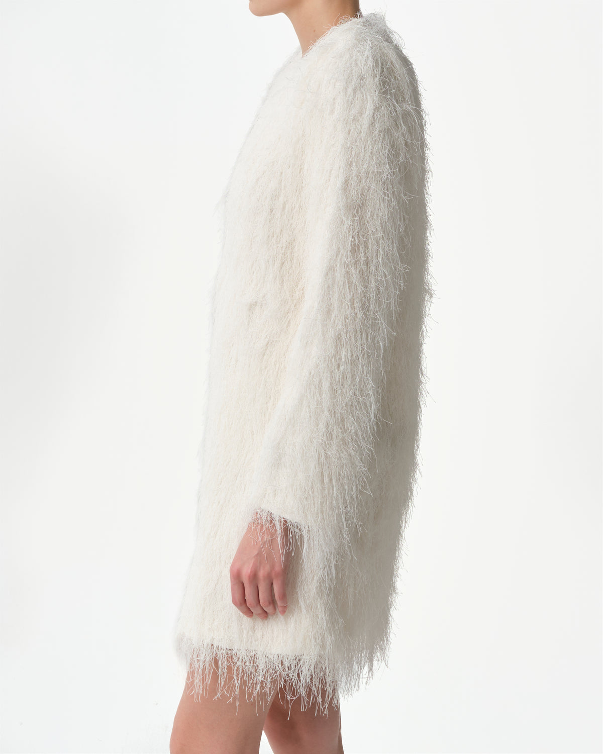 Tina Fringed Long-Sleeve Mini Dress