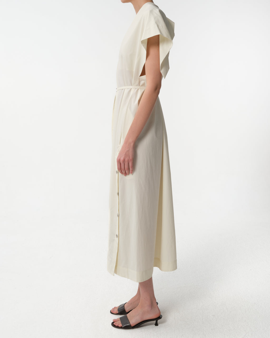 The Butterflies Dress