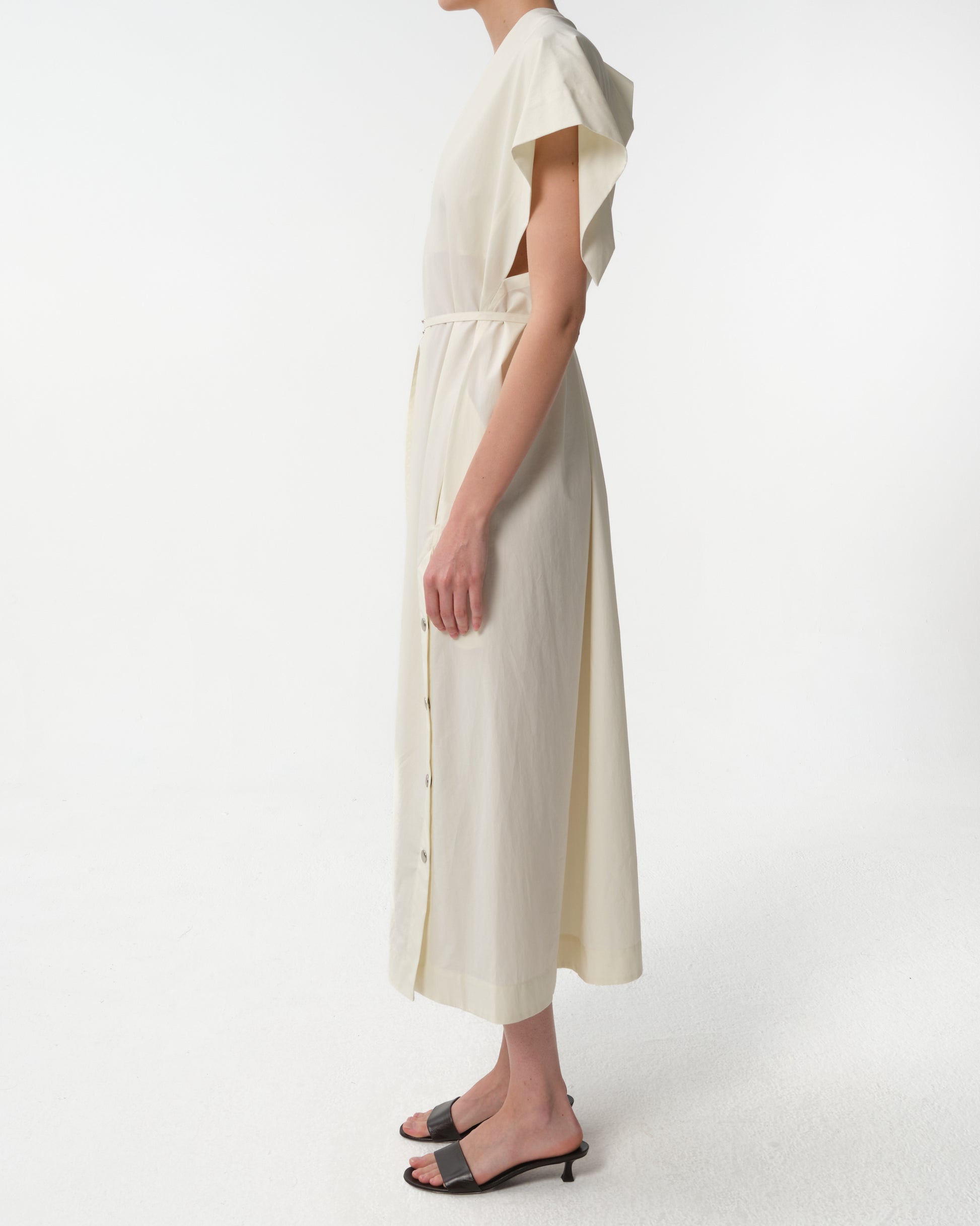 The Butterflies Dress