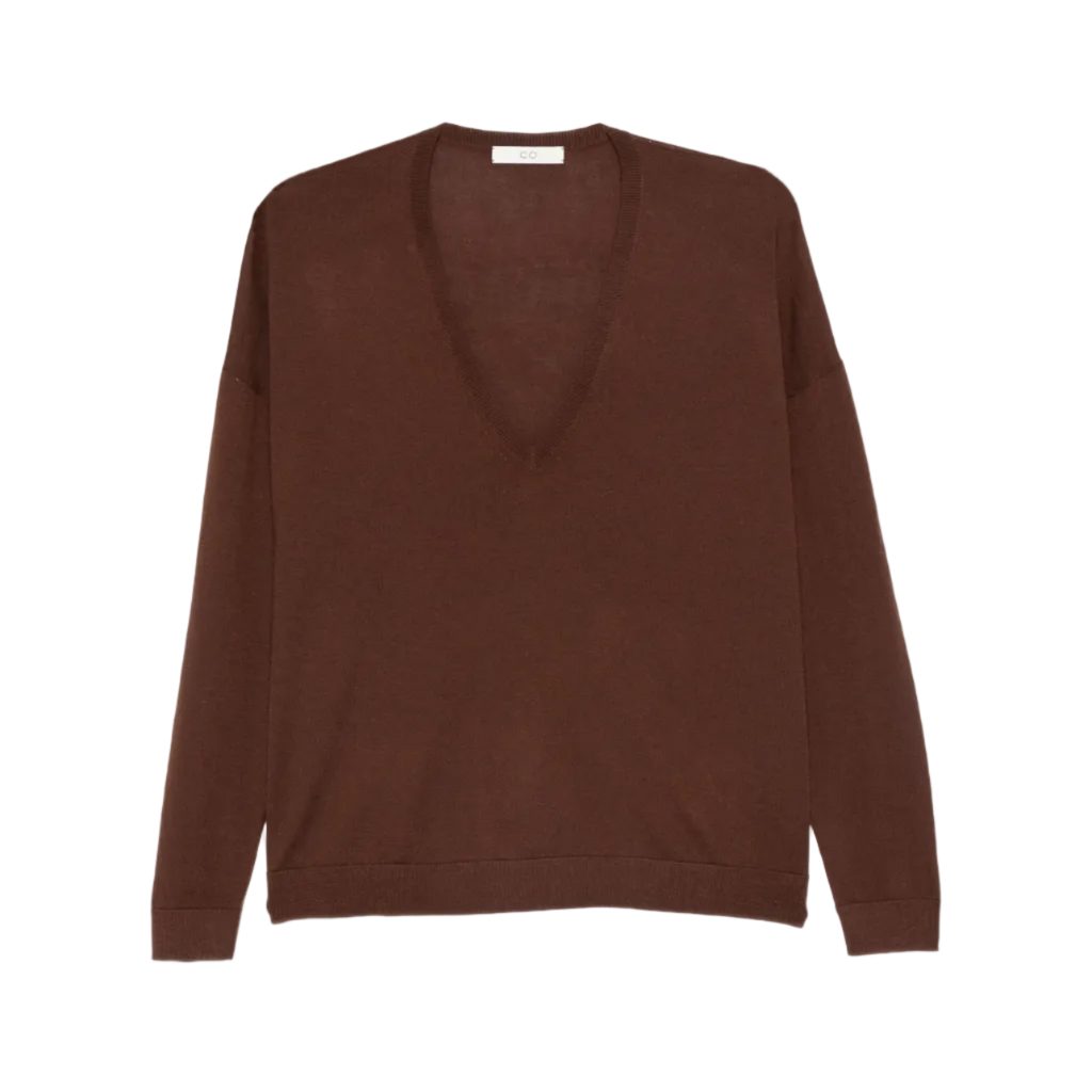 Brown V-Neck Sweater
