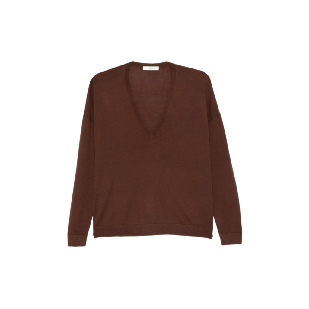 Brown V-Neck Sweater