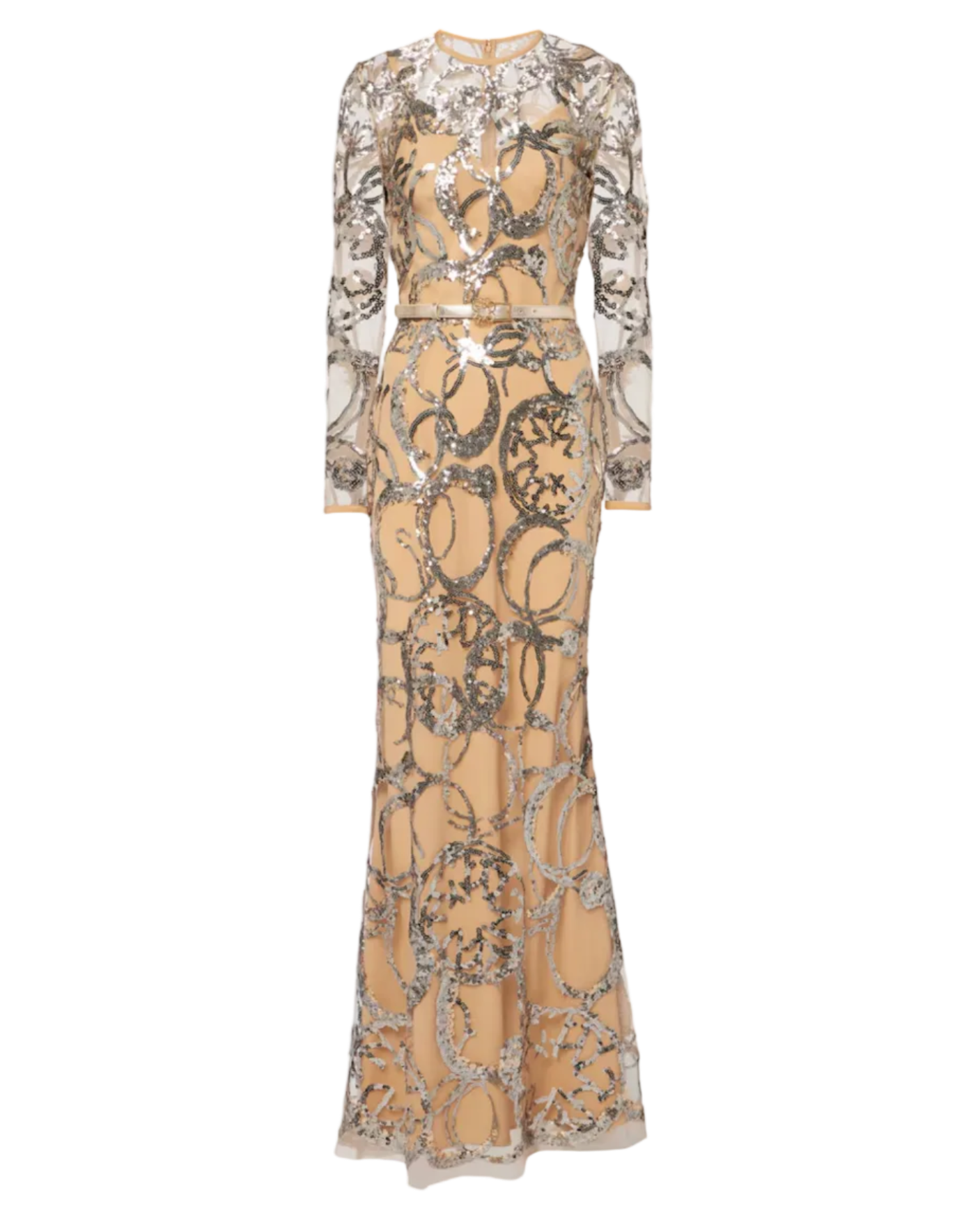 Embroidered Tulle Long Dress
