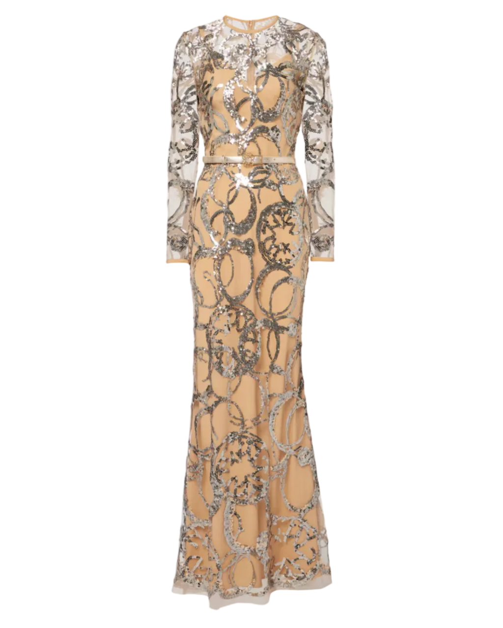 Embroidered Tulle Long Dress